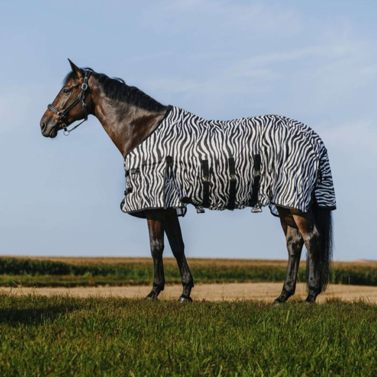 Riding World Manta Antimoscas Belly Mesh Zebra