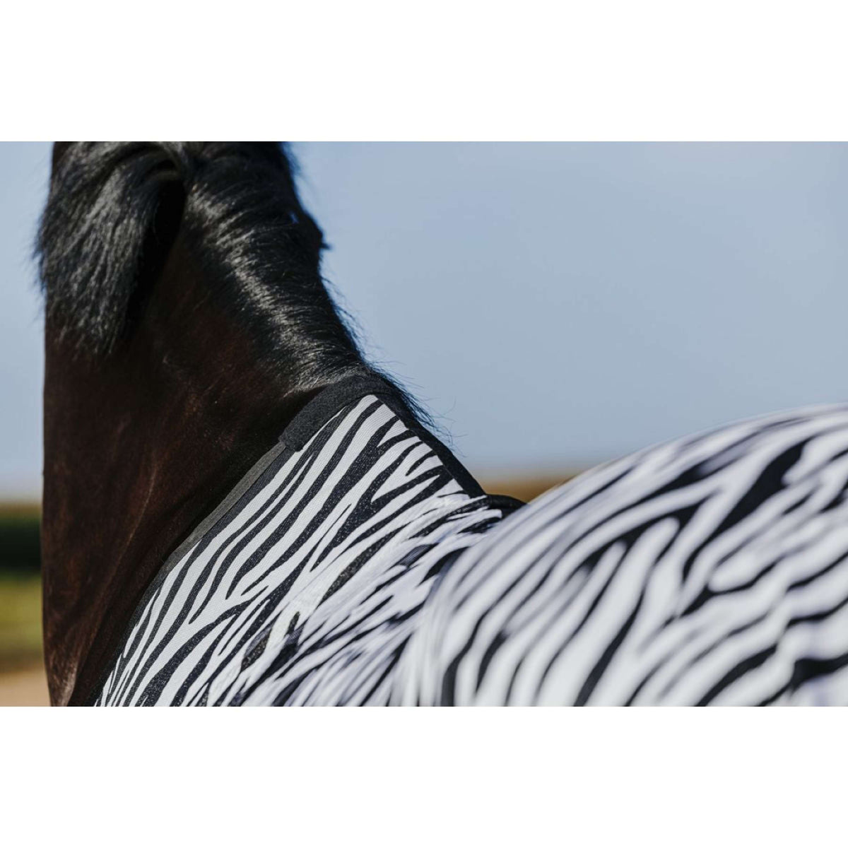Riding World Manta Antimoscas Belly Mesh Zebra