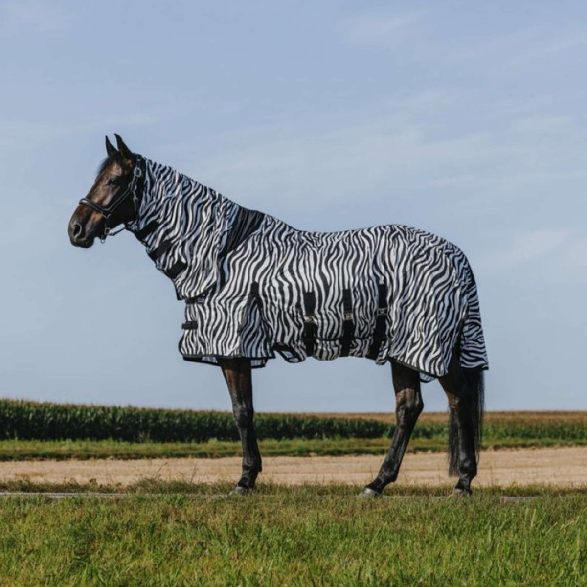 Riding World Manta Antimoscas Belly Mesh Combo Zebra