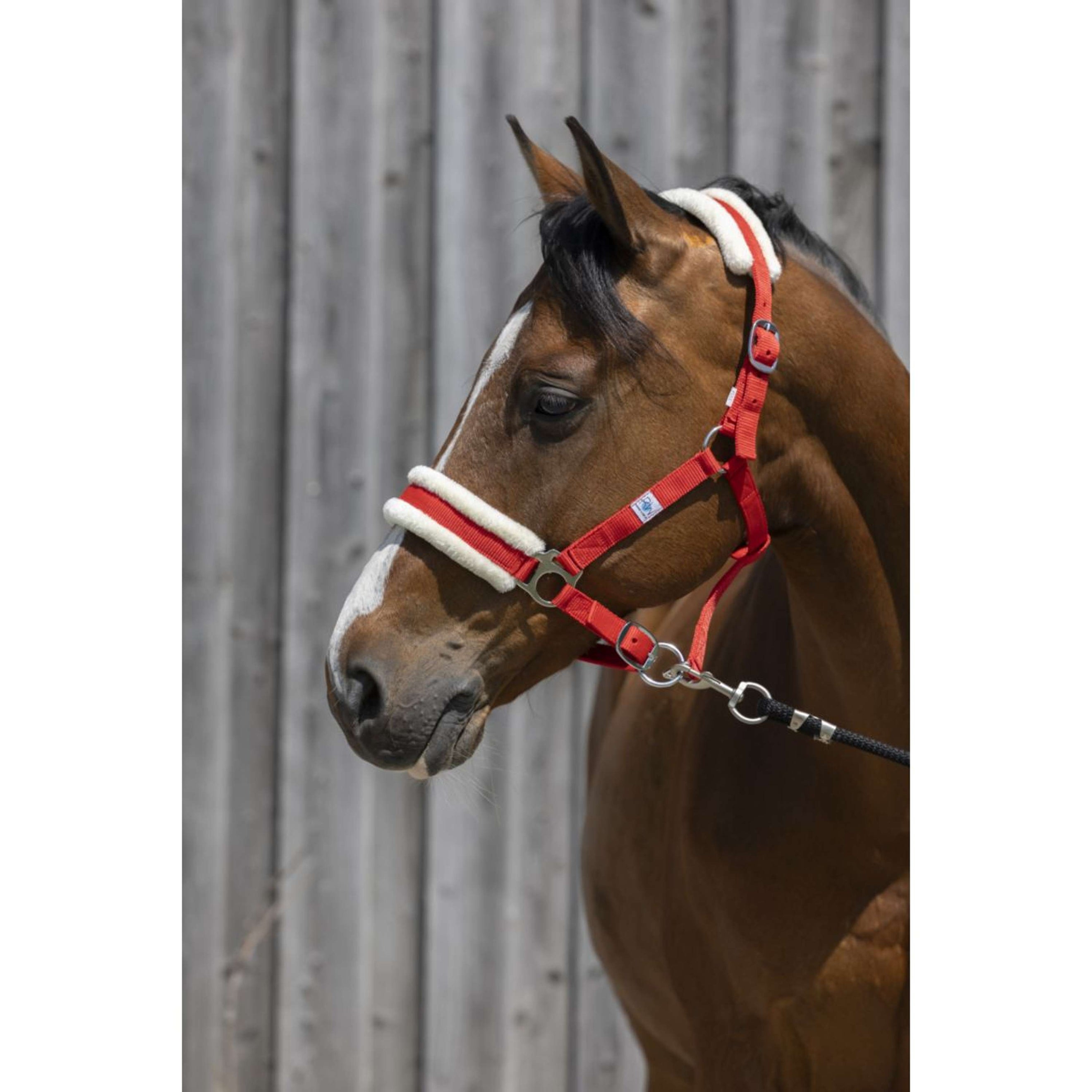 Riding World Cabestro Synthetic Fur Rojo