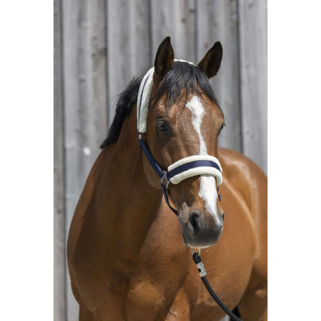 Riding World Cabestro Synthetic Fur Navy