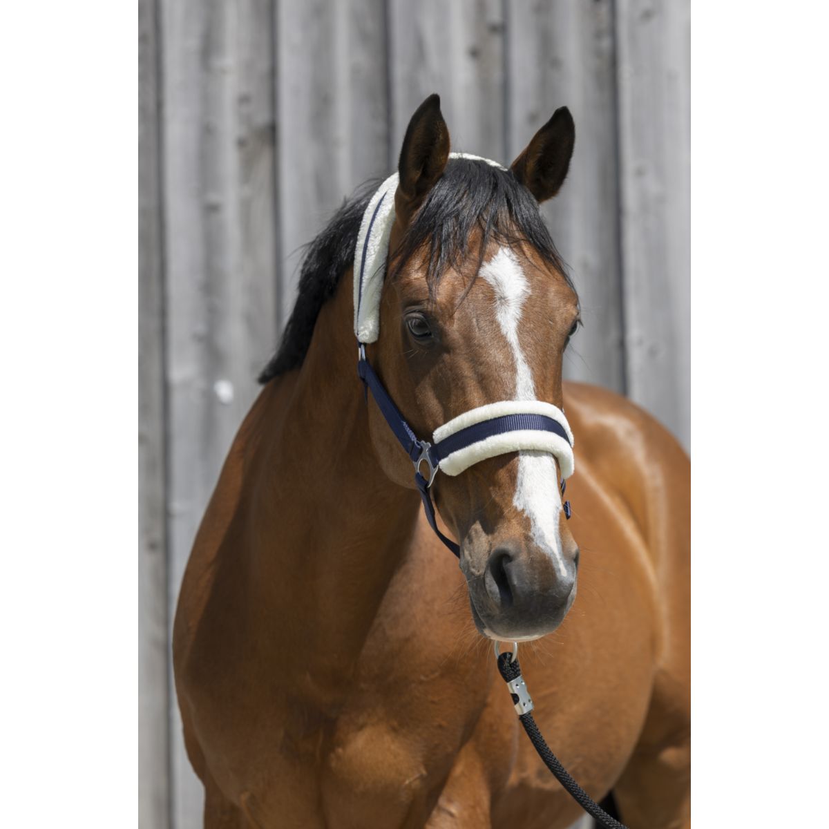 Riding World Cabezada Synthetic Fur Navy