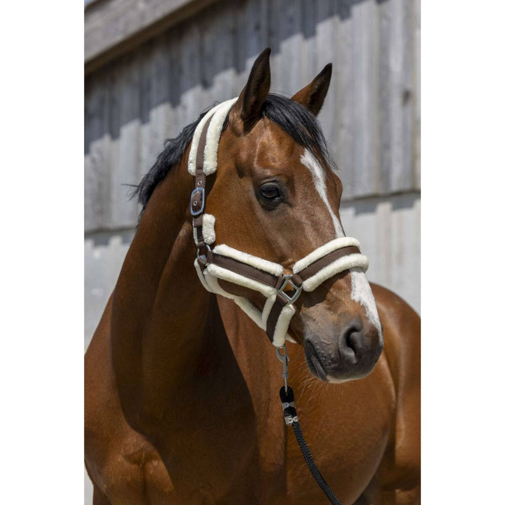 Norton Cabestro Cosy Marron