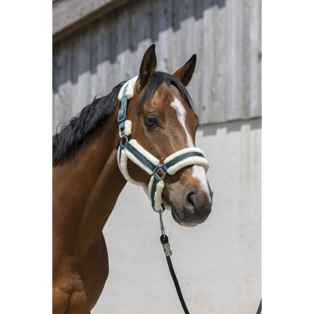Norton Cabestro Cosy Verde Oscuro