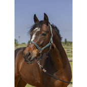 Norton Cabezada Grooming Verde Oscuro