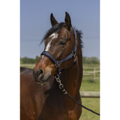 Norton Cabezada 4Lines Navy