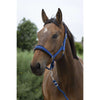 Norton Juego de Cabestro Large Azul