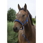 Norton Juego de Cabestro Large Azul