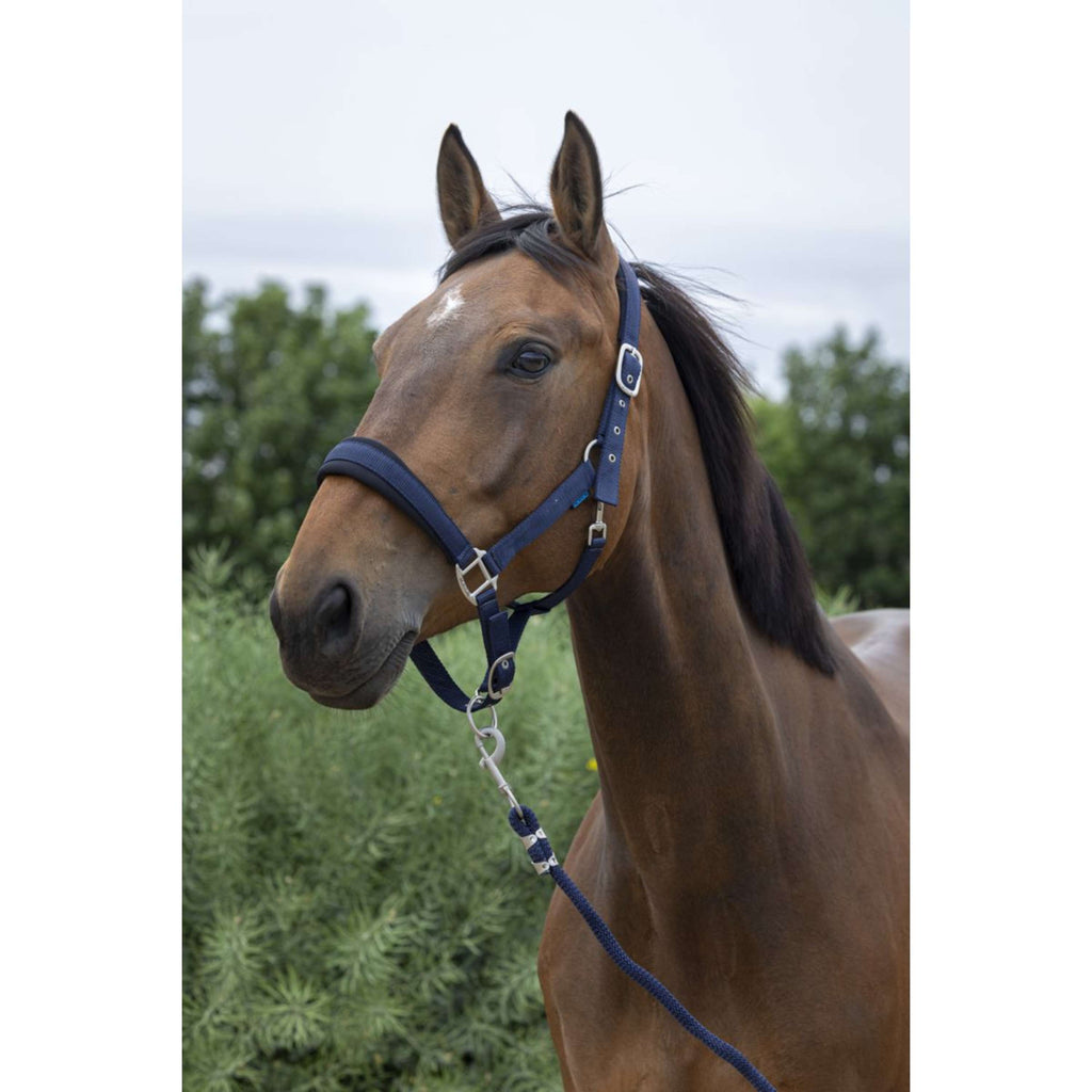 Norton Juego de Cabestro Large Navy