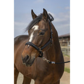 EQUITHÈME Cabezada Strass Nylon Negro