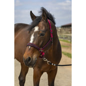 EQUITHÈME Cabestro Strass Nylon Burdeos