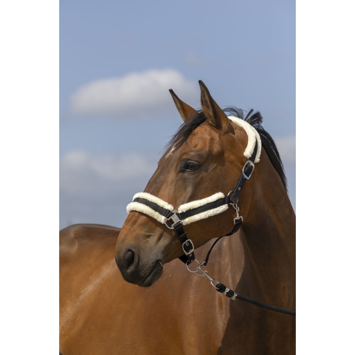 EQUITHÈME Cabezada Mouton Nylon Negro/Blanco