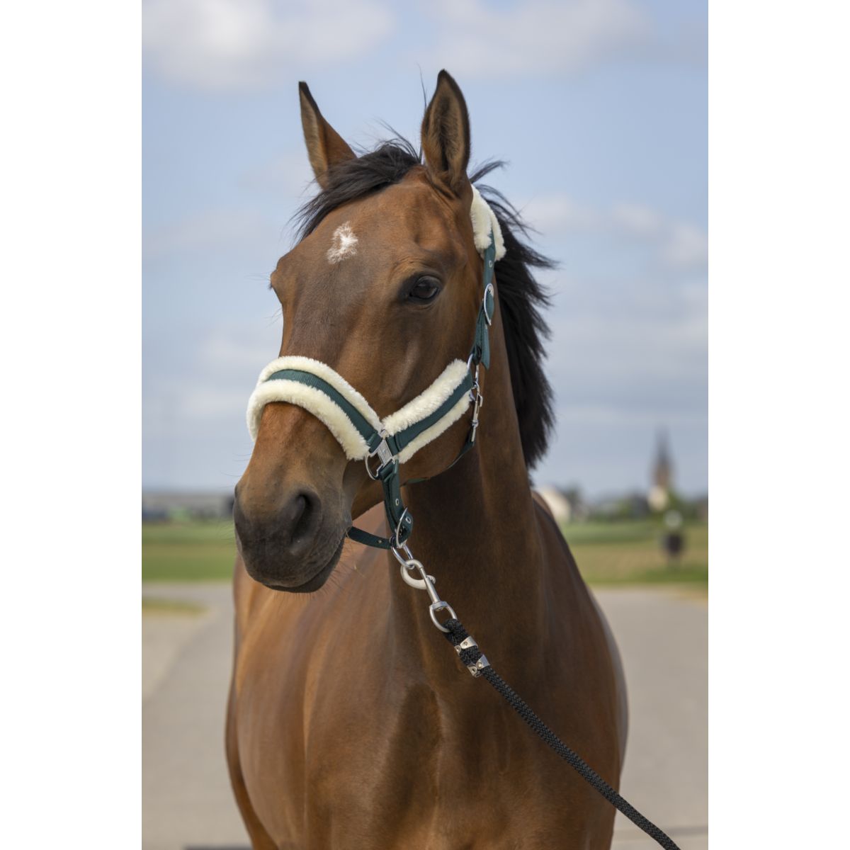 EQUITHÈME Cabezada Mouton Nylon Verde Blanco