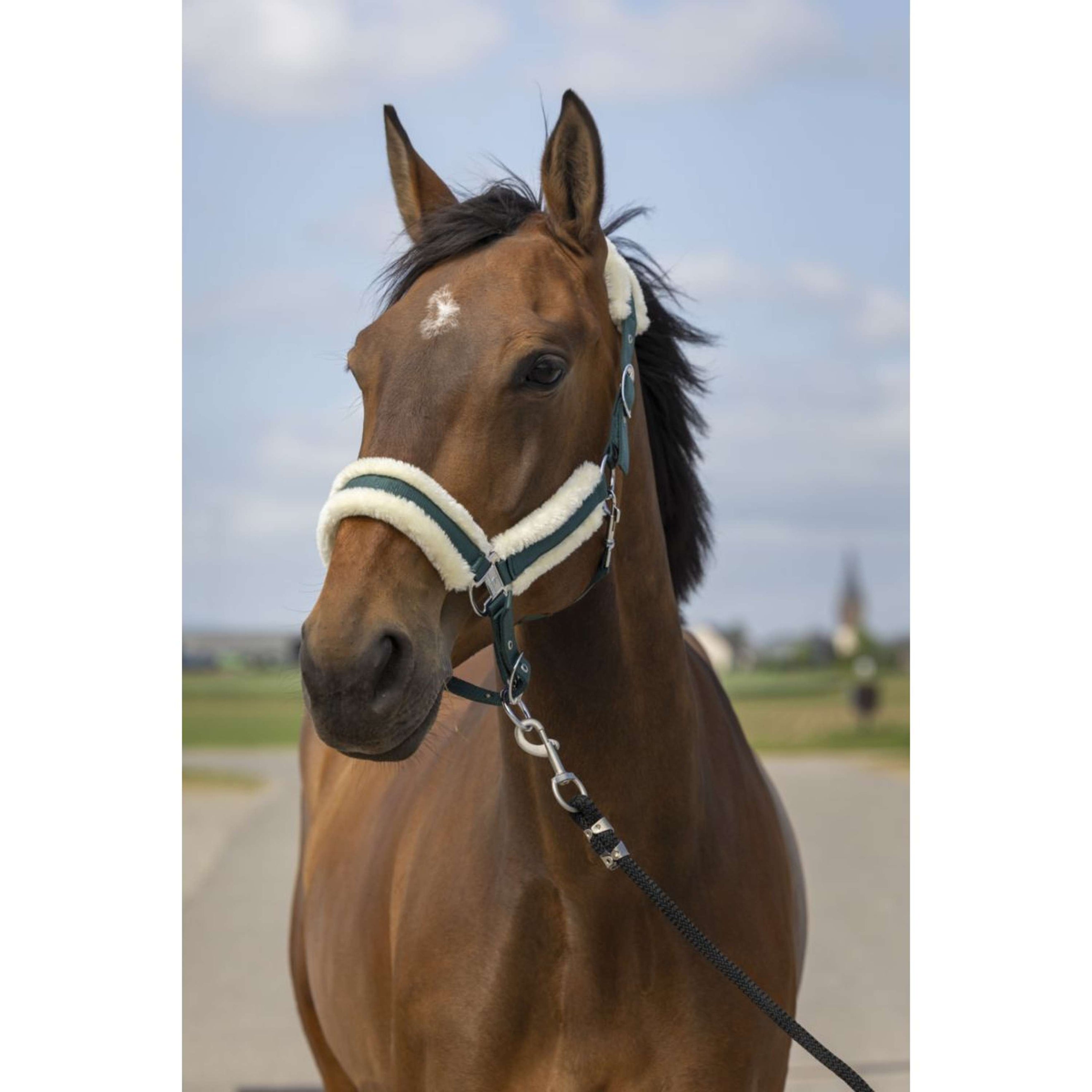 EQUITHÈME Cabezada Mouton Nylon Verde Blanco EQUITHÈME Cabezada Mouton Nylon Verde Blanco