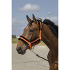 EQUITHÈME Cabestro Mouton Nylon Naranja/Negro