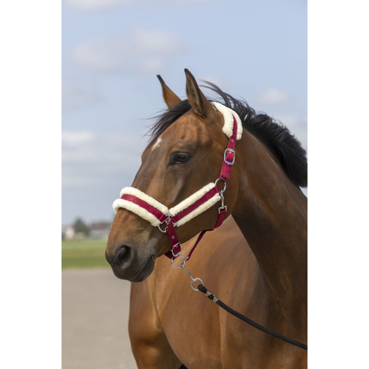 EQUITHÈME Cabezada Mouton Nylon Burdeos/Blanco