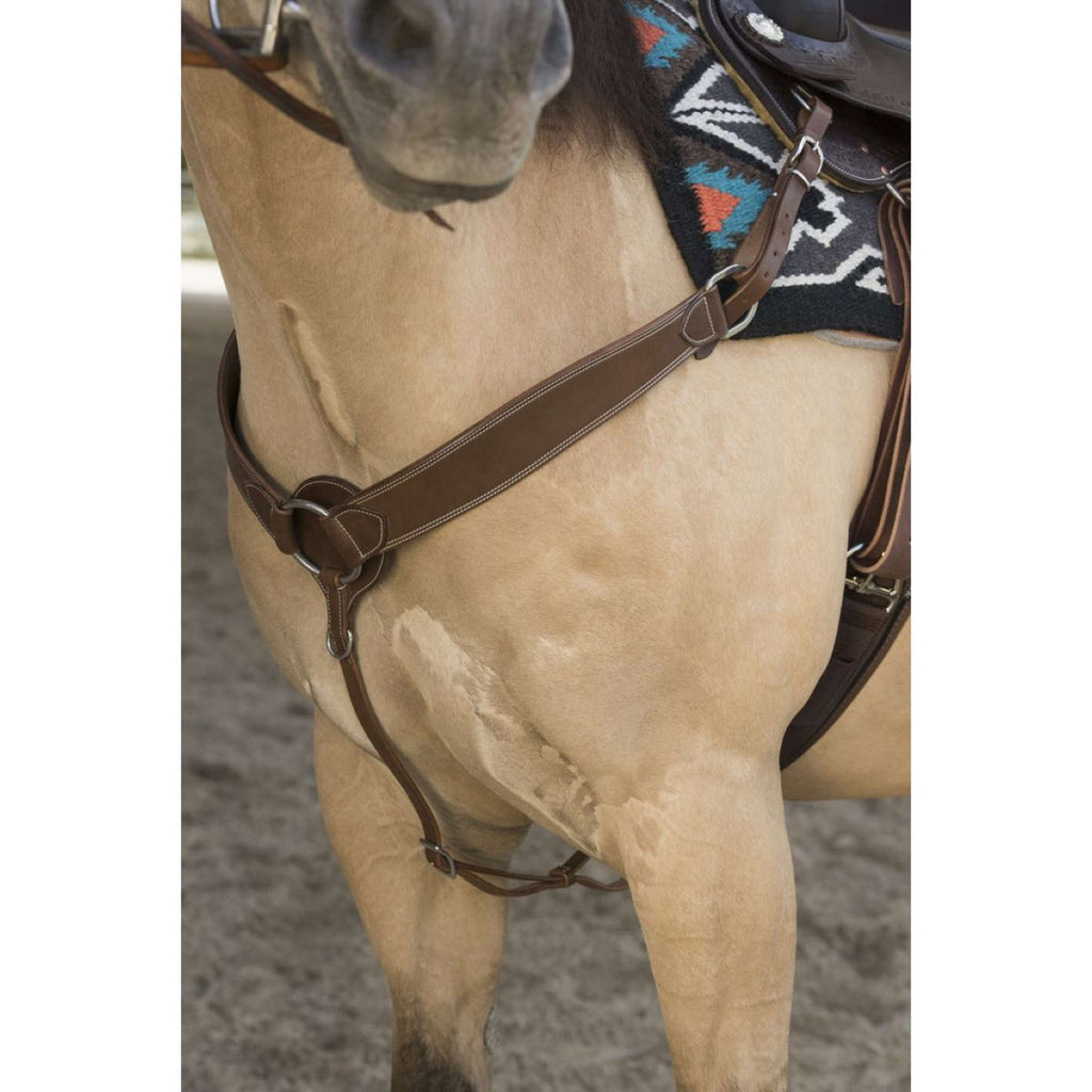 Westride Arnés Frontal Billy Choco