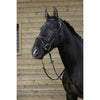 Riding World Brida con Cabezada Combinada Negro