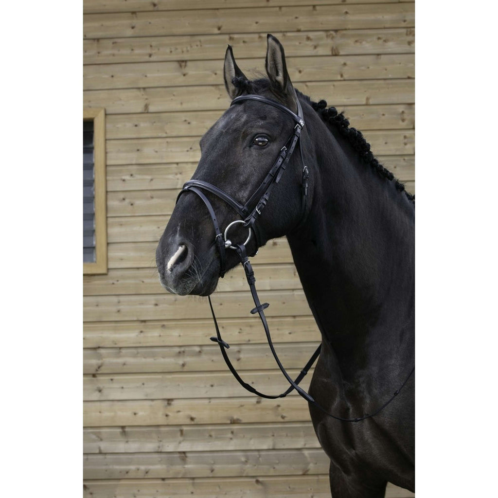 Riding World Brida con Cabezada Combinada Negro