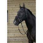 Riding World Brida con Cabezada Combinada Negro
