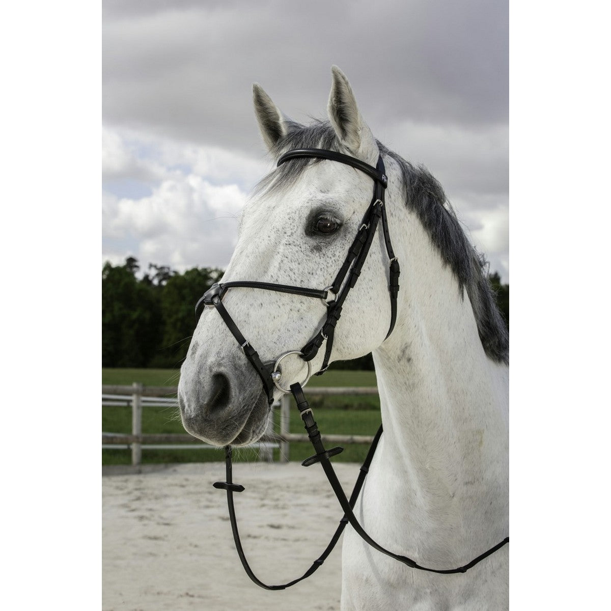 Riding World Brida con Muserola Mexicana Negro