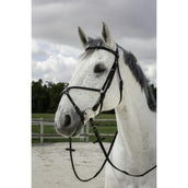 Riding World Brida con Muserola Mexicana Negro