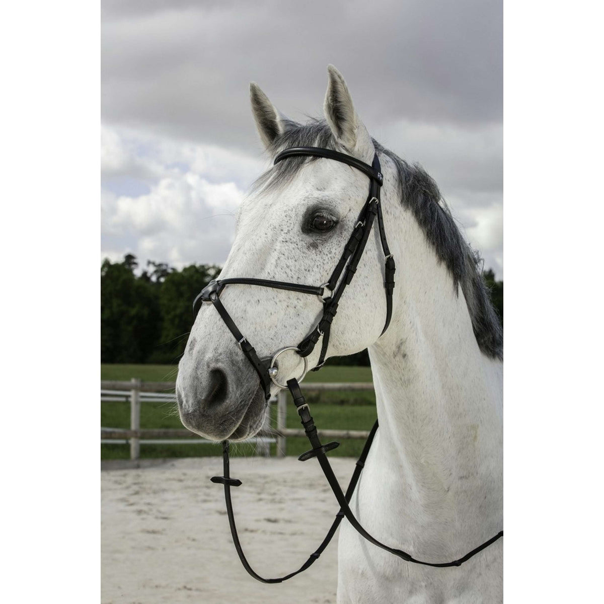 Riding World Brida con Muserola Mexicana Negro