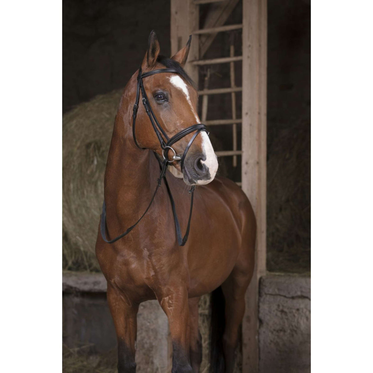 Norton Riendas Pro Español: Caucho 13mm Havanna/Blanco