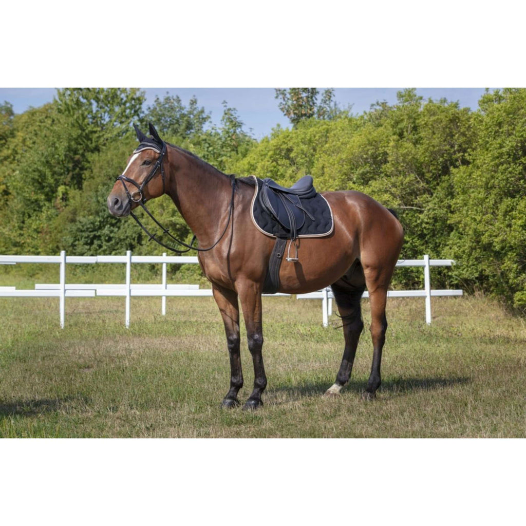 EQUITHÈME Bonete para Orejas Polyfun Negro/Taupe