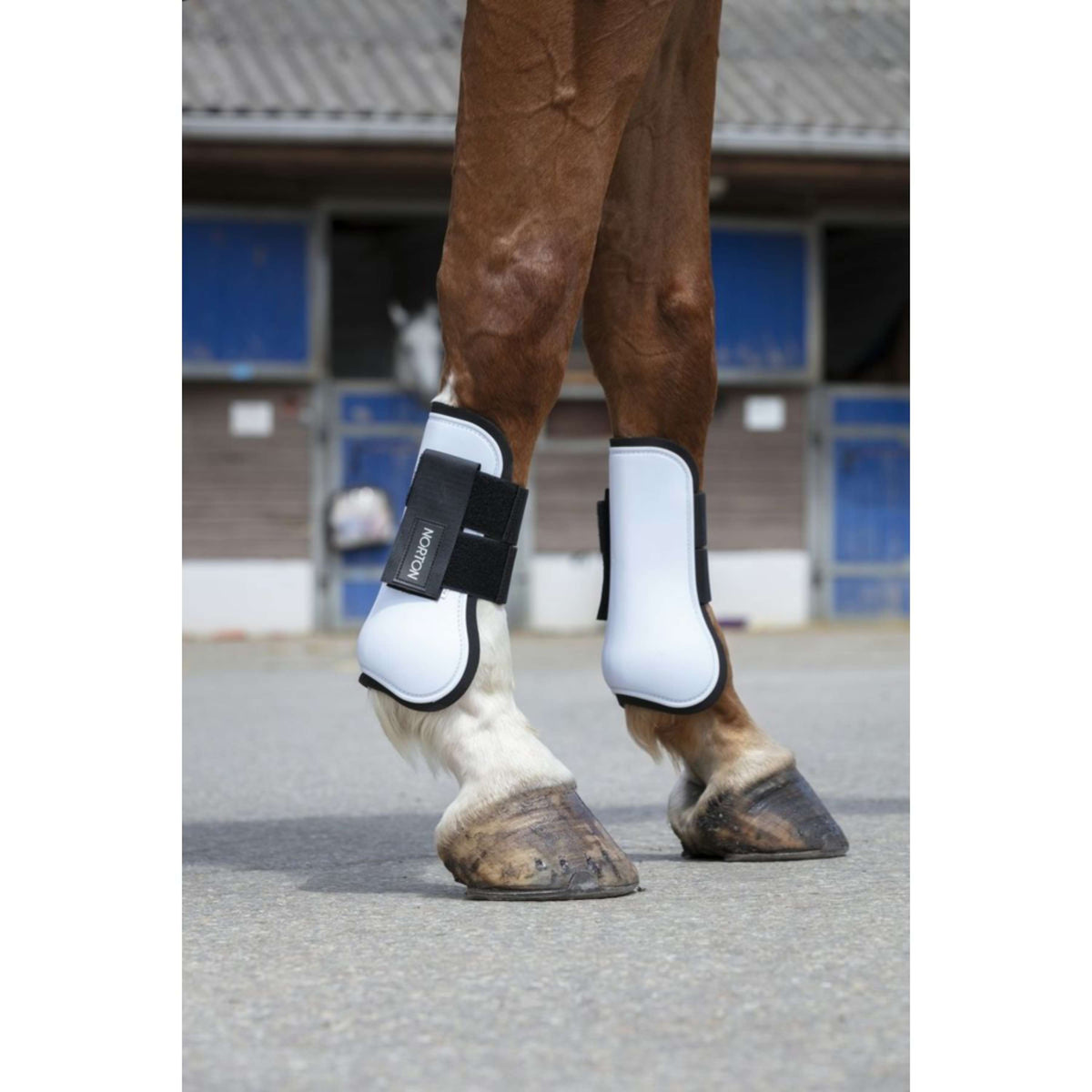 Norton Botas para tendones Gris
