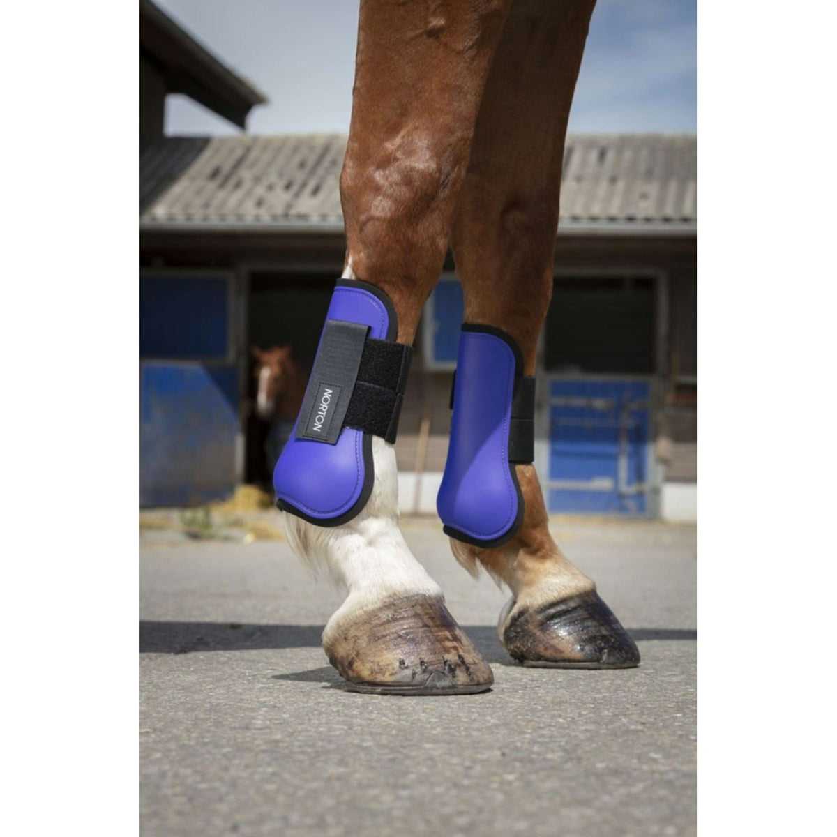 Norton Botas para tendones Morado