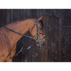 Riding World Gogue Negro