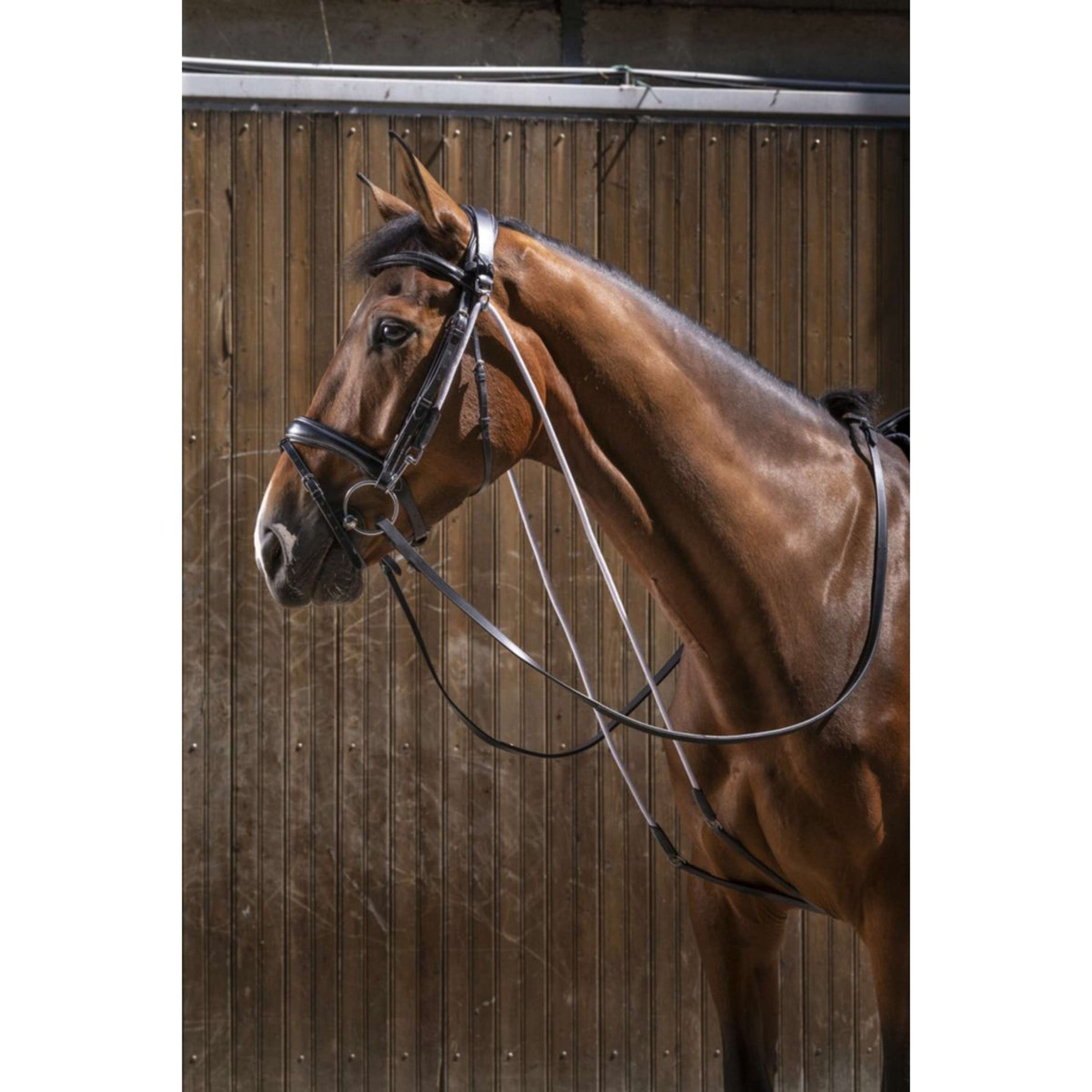 Eric Thomas Chambon Pro Negro