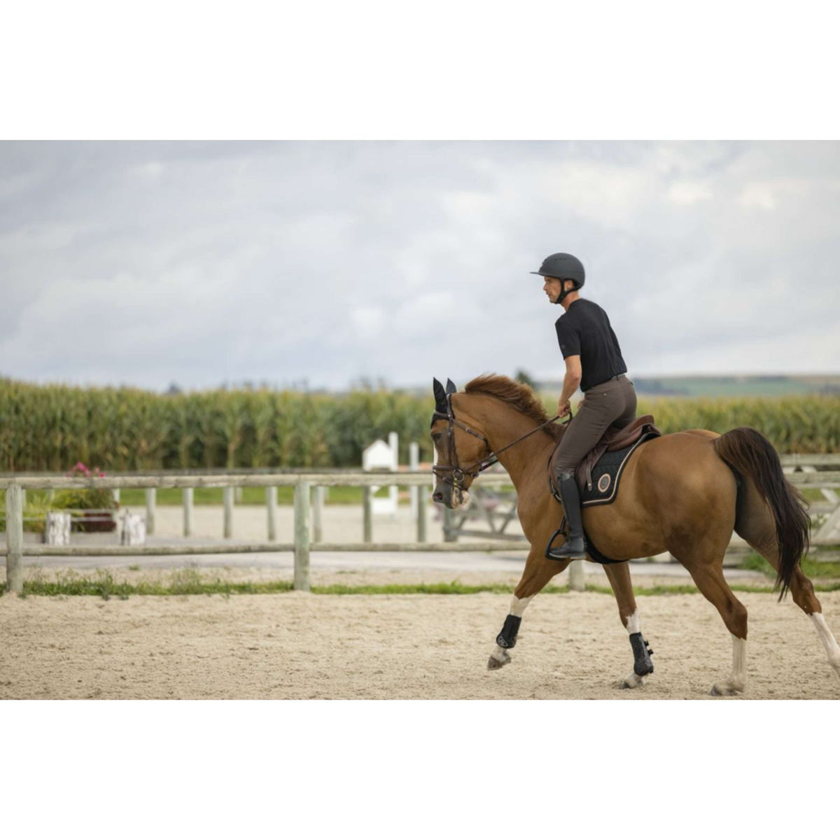 EQUITHÈME T-Shirt Pro Series Aubin Negro