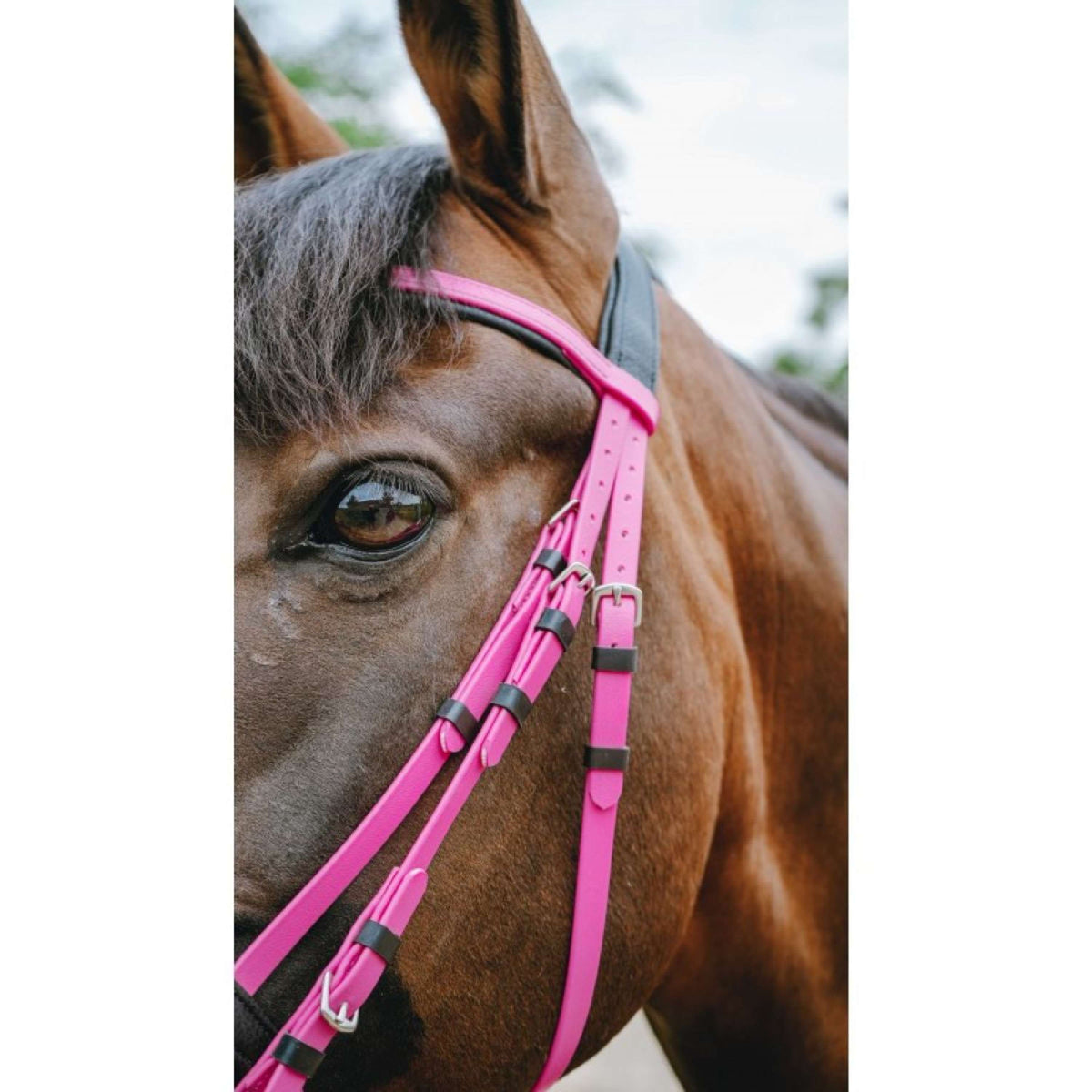 Norton Brida Endurance Rosa