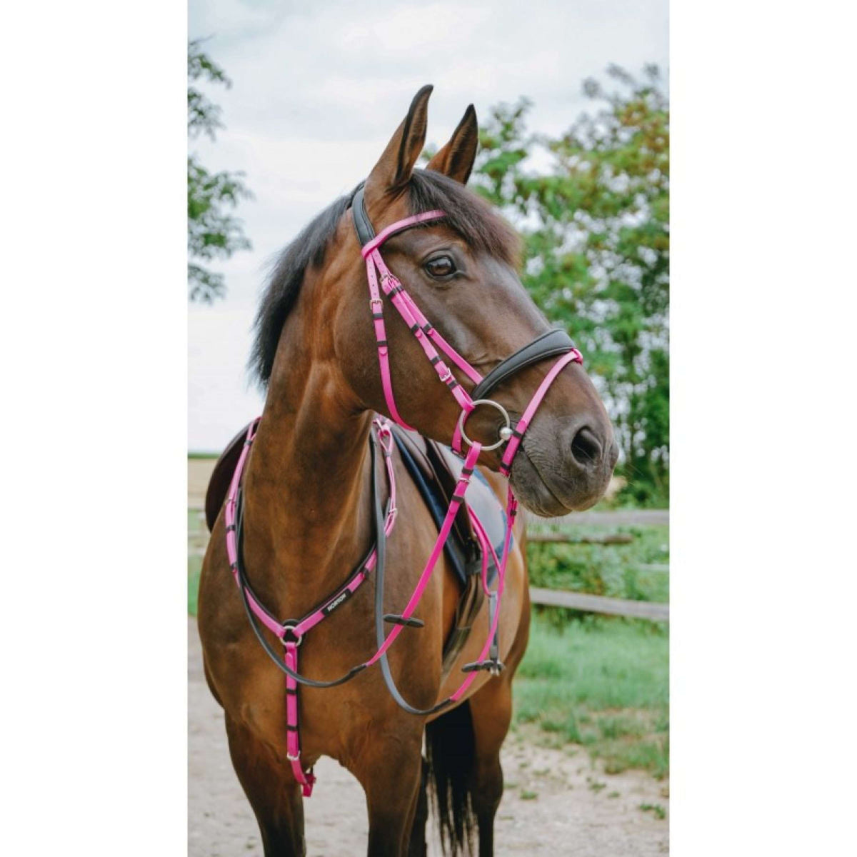 Norton Brida Endurance Rosa