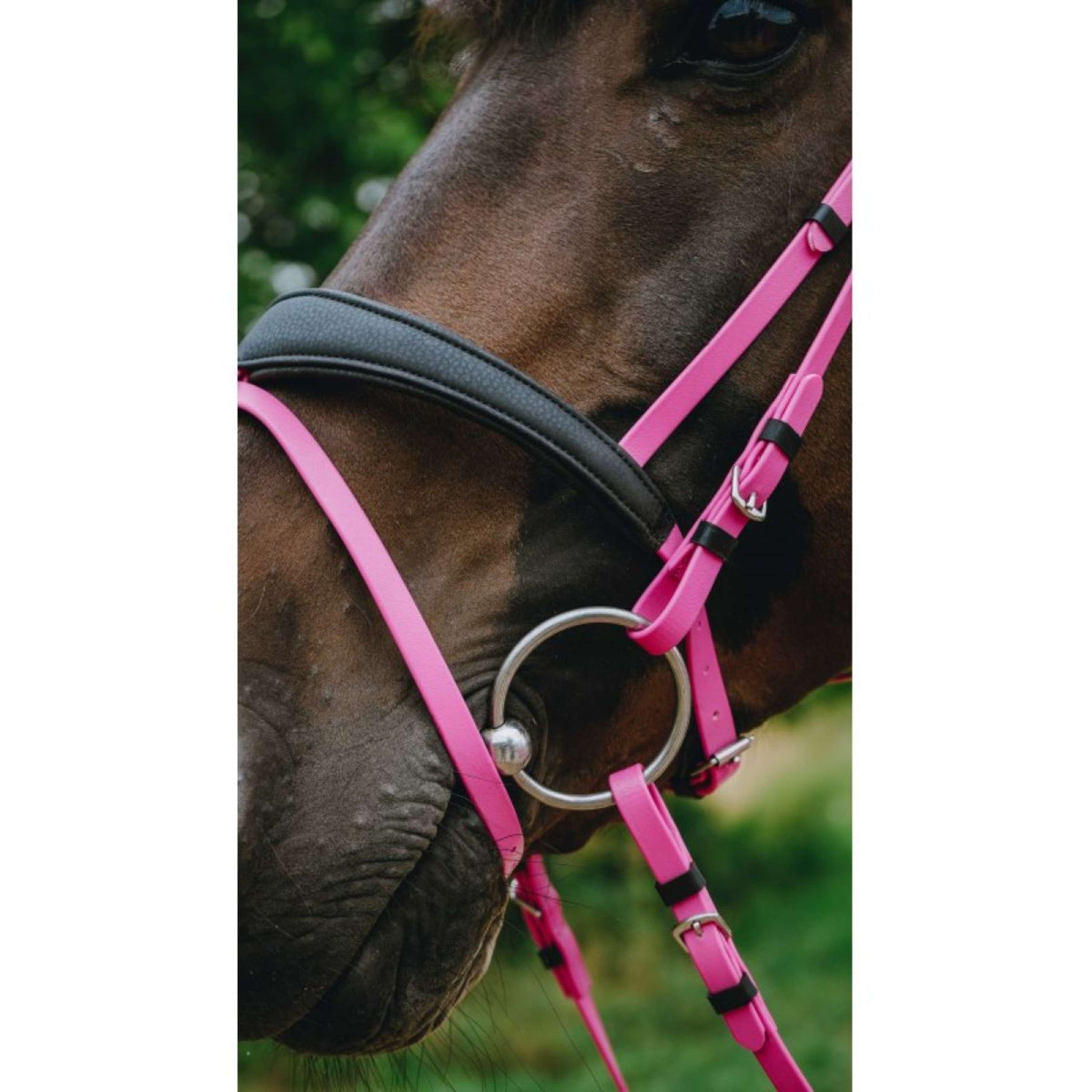 Norton Brida Endurance Rosa