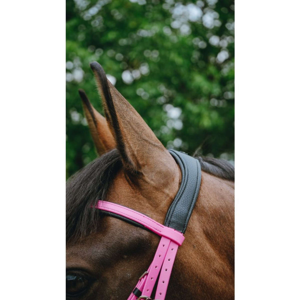 Norton Brida Endurance Rosa