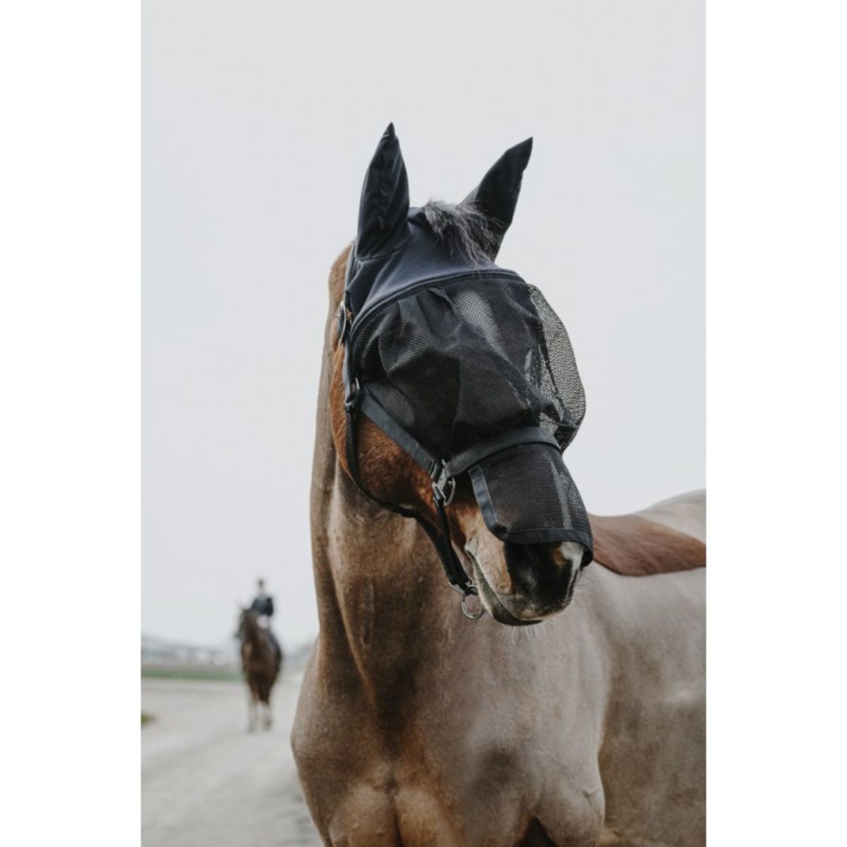 EQUITHÈME Cabestro con Máscara Mesh Negro