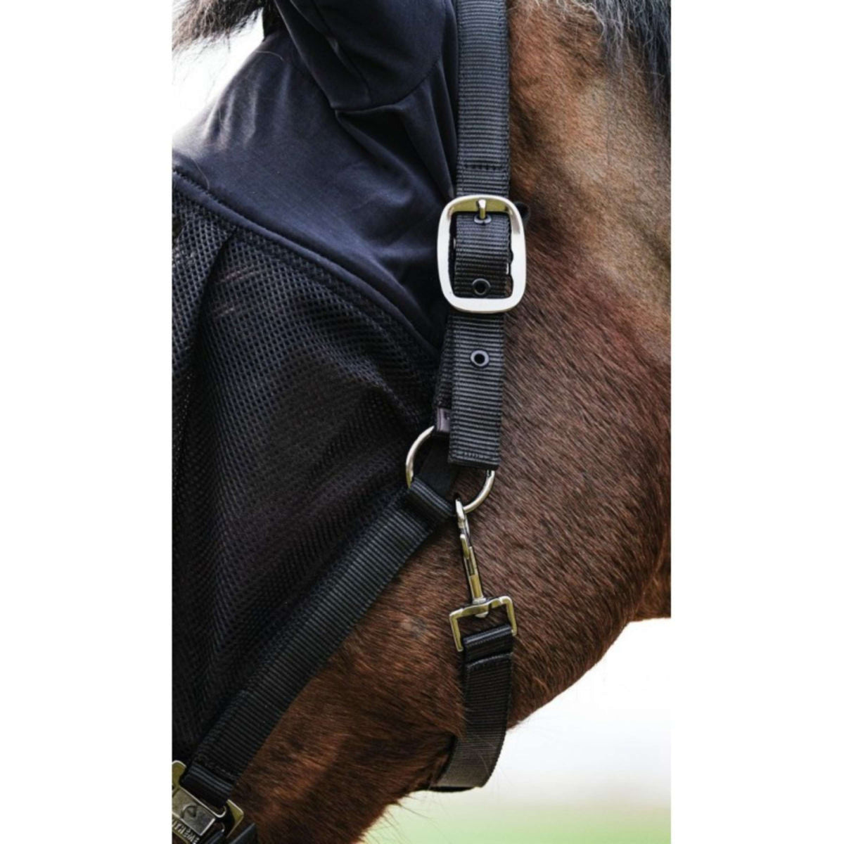 EQUITHÈME Cabestro con Máscara Mesh Negro