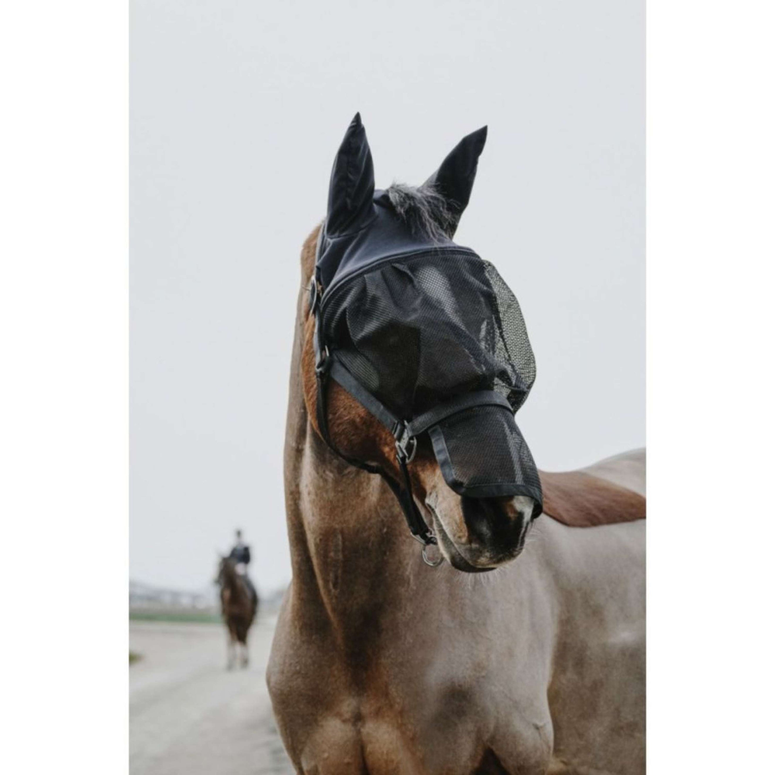 EQUITHÈME Cabestro con Máscara Mesh Negro EQUITHÈME Cabestro con Máscara Mesh Negro