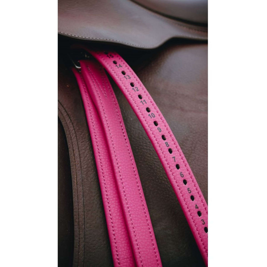 Norton Correas de estribo Rosa