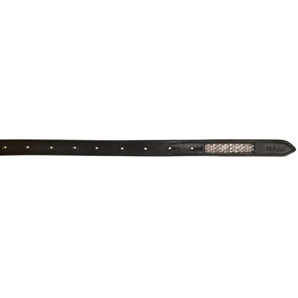 Norton Correas de estribo Damier Havanna