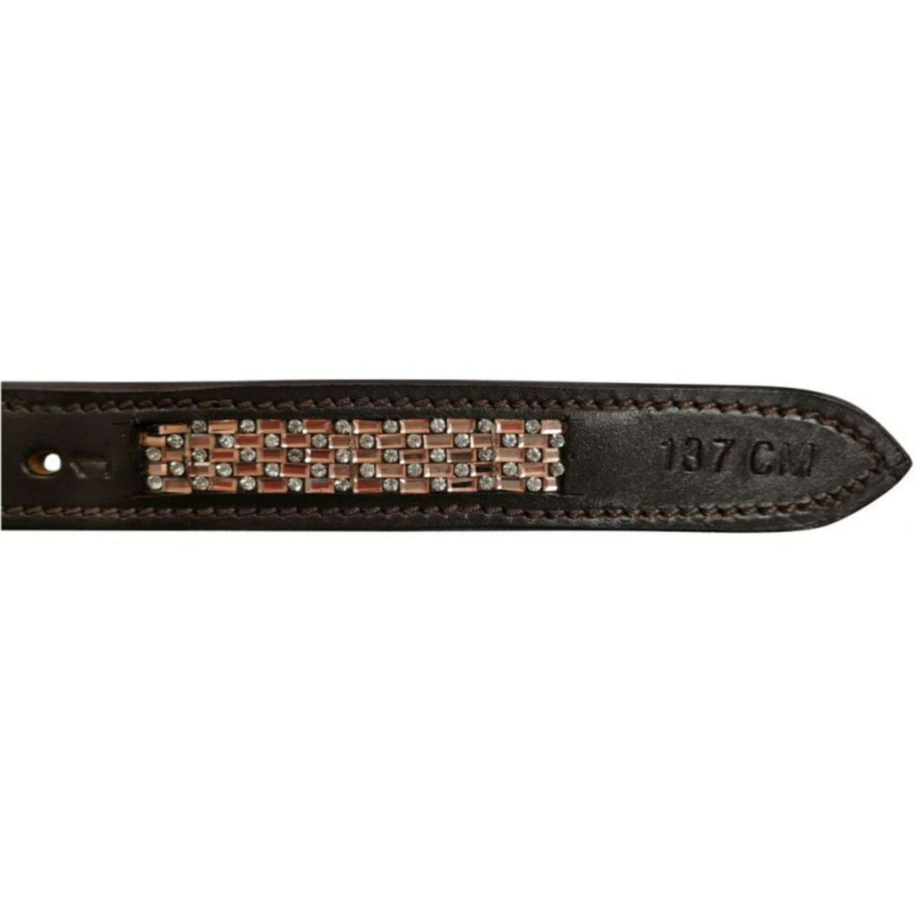 Norton Correas de estribo Damier Havanna