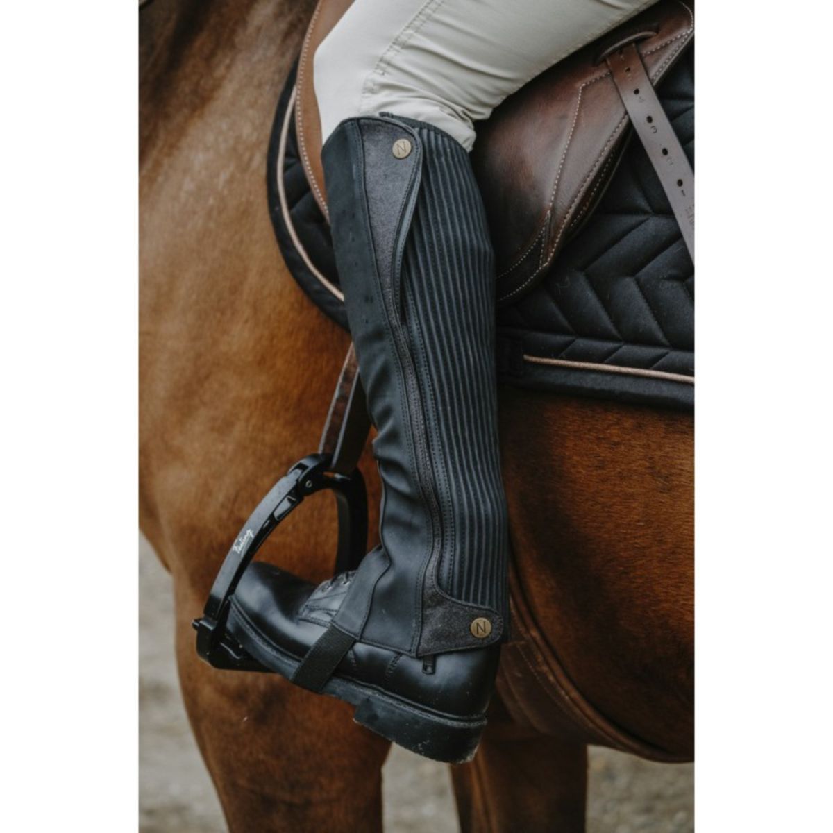 Norton Chaps Galaxy Negro