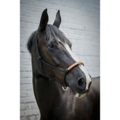 Pénélope Cabezada de Cuerda Western