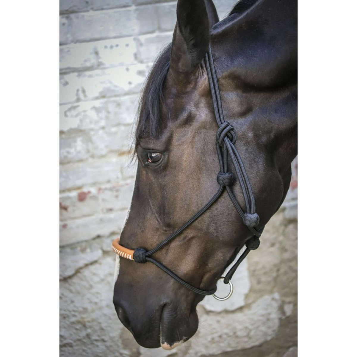 Pénélope Cabezada de Cuerda Western