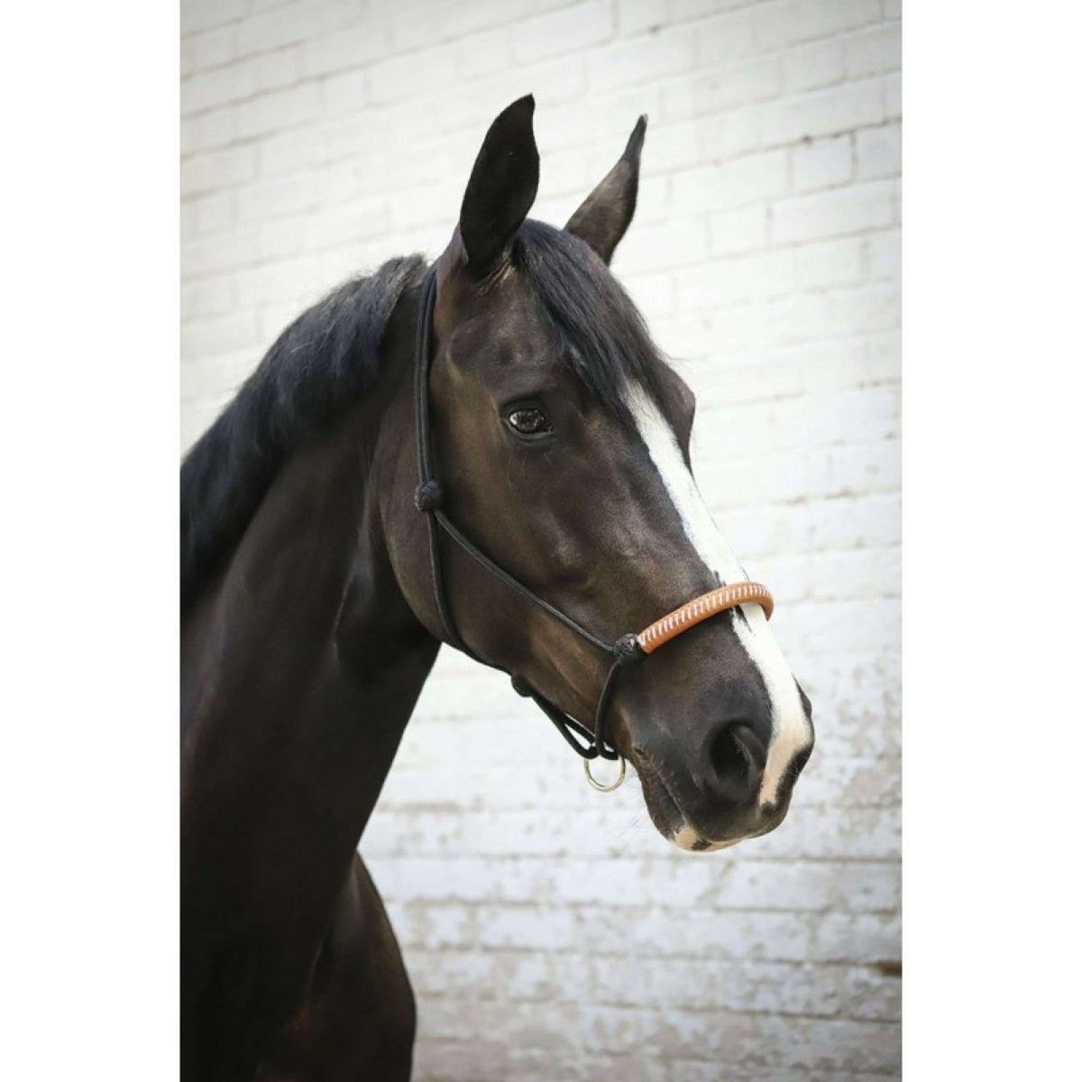 Pénélope Cabezada de Cuerda Western