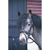 Eden by Pénélope Brida Eden Negro