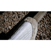 Ekkia Mantilla PRO Combo Master Wit